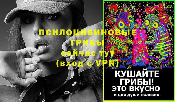 прущие крисы Алексин